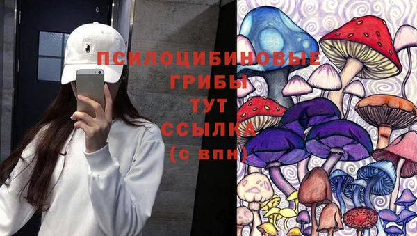 mdpv Осинники