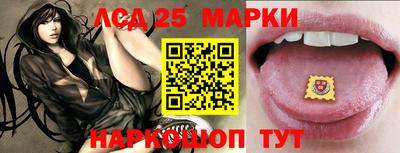 гашик Аргун