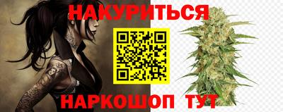гашик Аргун