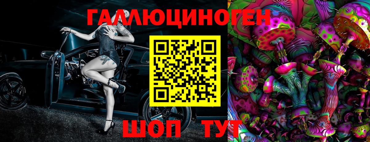 Галлюциногенные грибы Psilocybine cubensis Астрахань