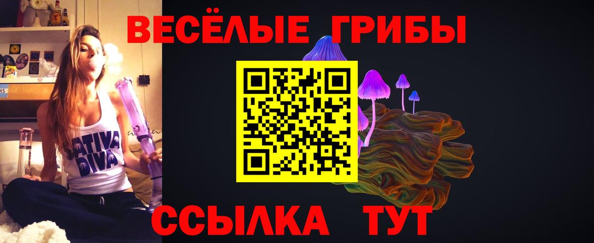 Астрахань  Галлюциногенные грибы мухоморы  закладки  Вход с VPN 